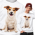 BLUZA  ZWIERZĘTA JACK RUSSELL